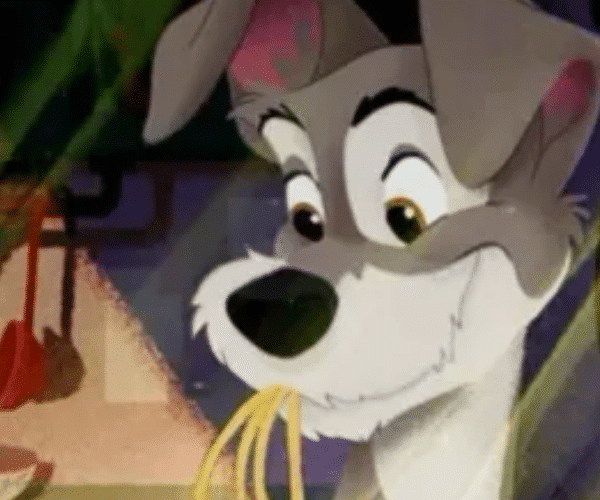 Enchanted Tramp – Enterprising Dog